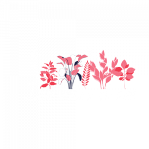 Des voiles et moi-logo